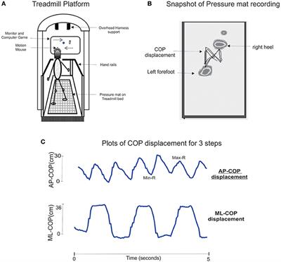 Computerized Dual-Task Testing of Gait and Visuospatial Cognitive Functions; Test-Retest Reliability and Validity